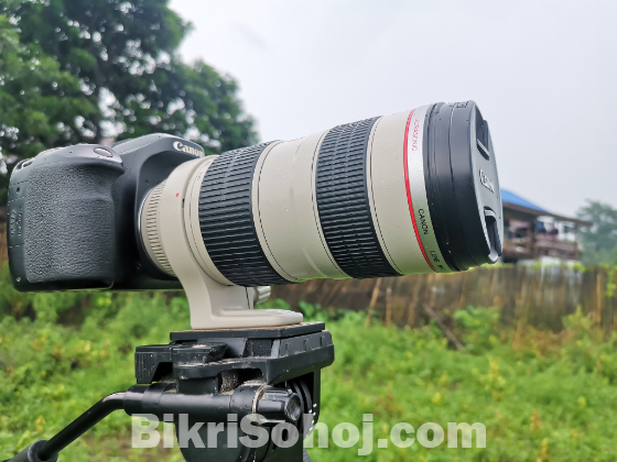 Dslr Canon 80D Camera + 70-200mm Zoom lens sell